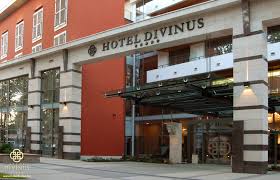 Hotel Divinus*****