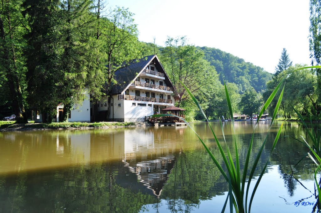 Moneasa, Hotel Parc