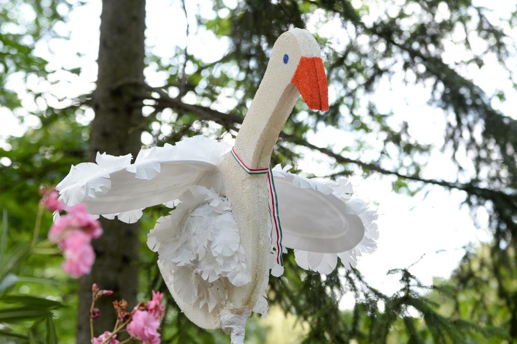 Galiba a Vidámparkban!