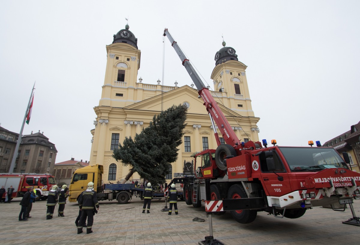Helyére került Debrecen karácsonyfája