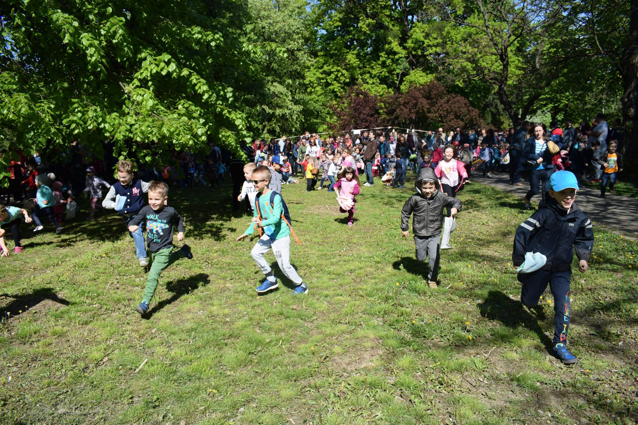 Nyuszi ült a parkban