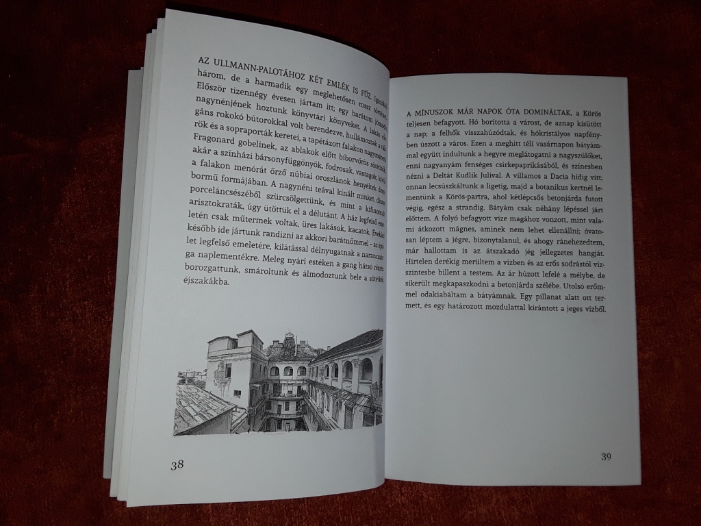 Nagyváradi emlék-villanások könyve