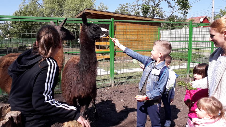 Az állatkert újabb tizenkét lakója talált nevelőszülőre Nagyváradon