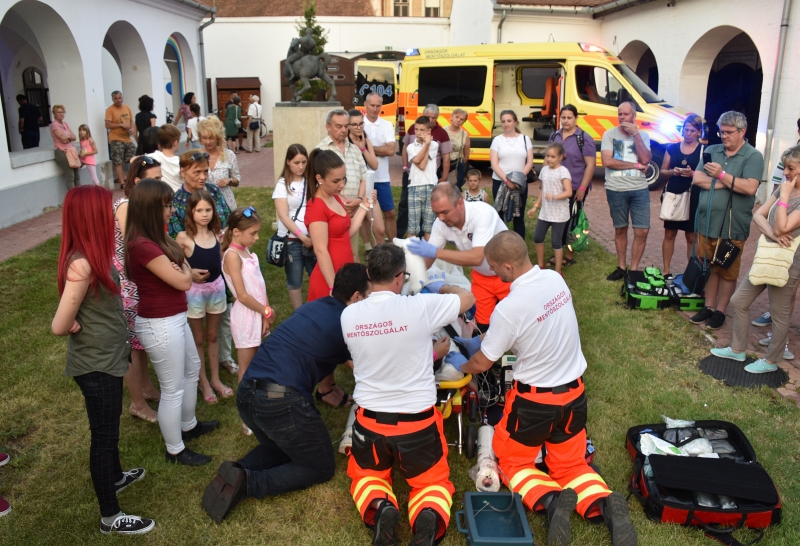 A Déri Múzeum idén is csatlakozik a Múzeumok Őszi Fesztiváljához