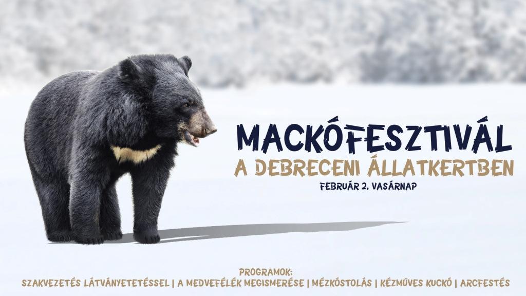 Mackófesztivált rendeznek a Debreceni Állatkertben