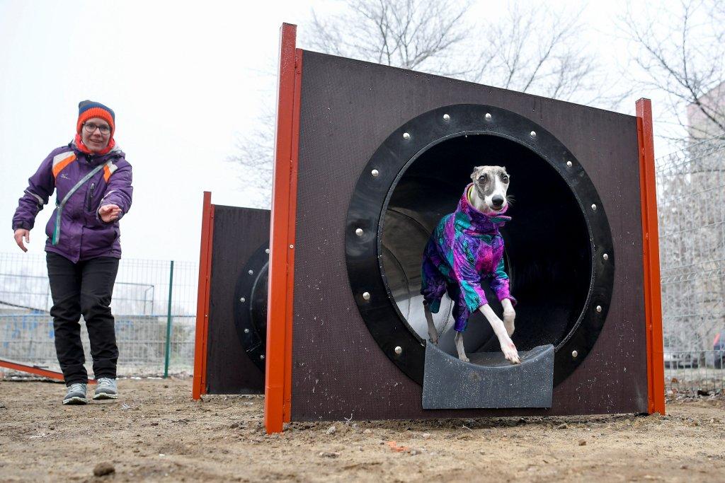 Komplex kutyafoglalkoztató park nyílt Debrecenben