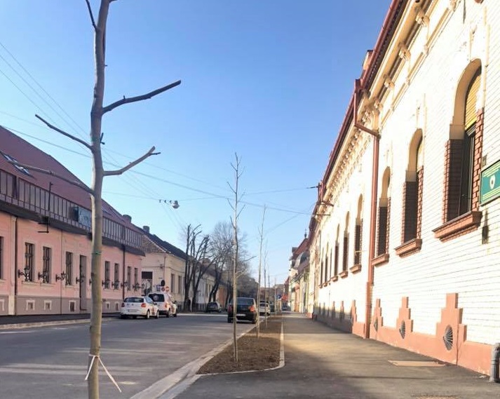 Fasort telepítettek az Eminescu (egykori Szaniszló) utcában