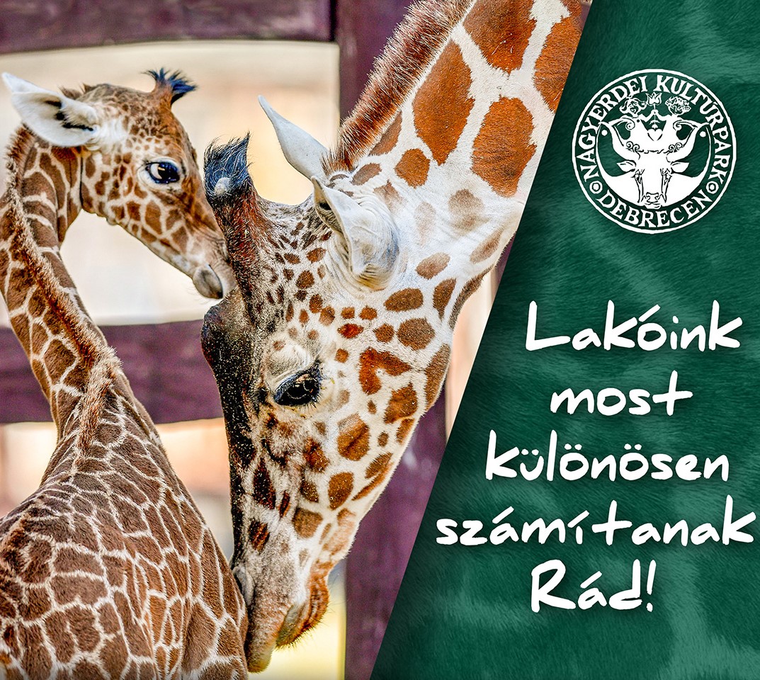 Ünnepeljük támogatói belépőjegy megváltásával az Állatkertbarátok Napját!
