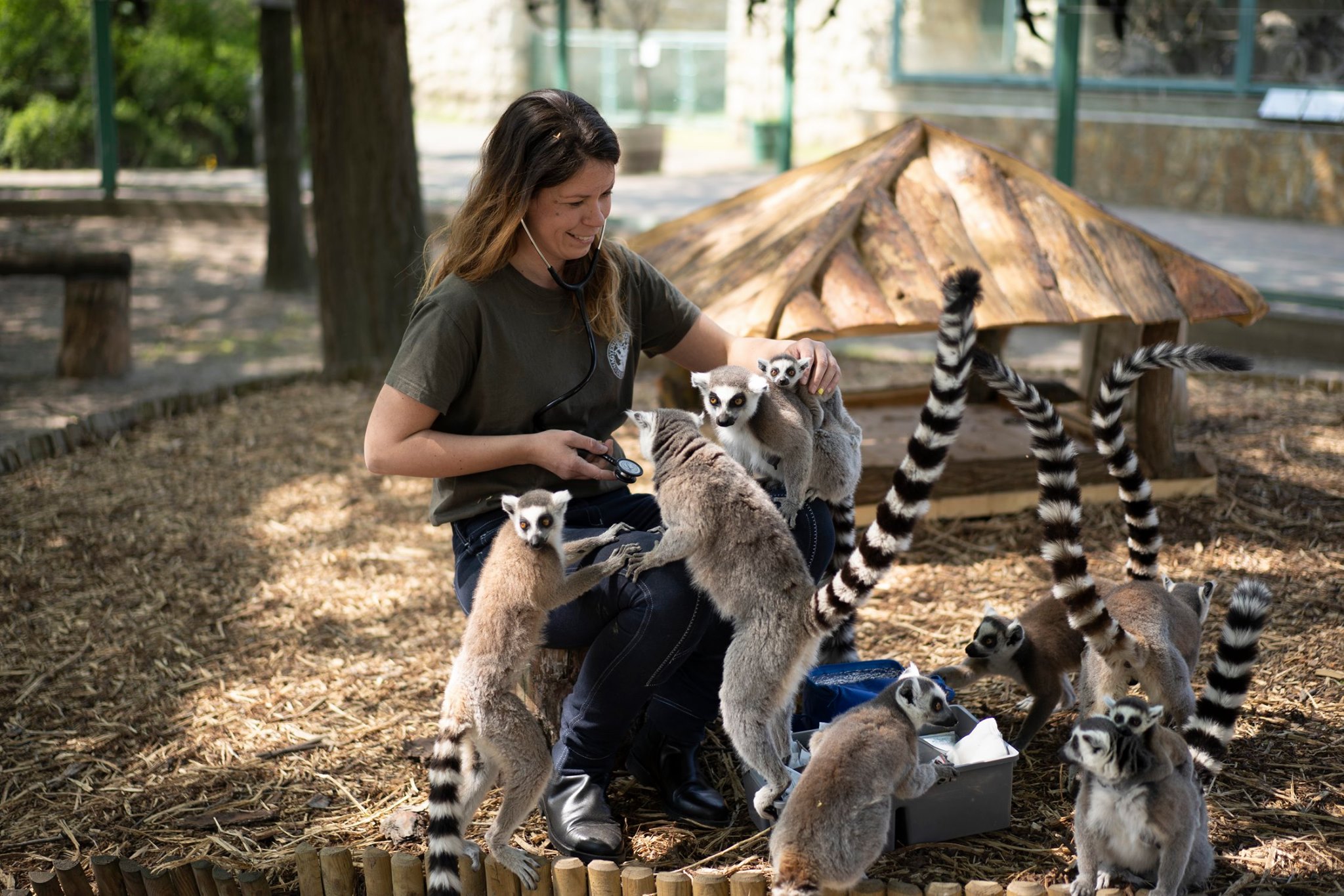 Újra nyitva a Debreceni Állatkert - a Vidámpark május 9-től várja a látogatókat