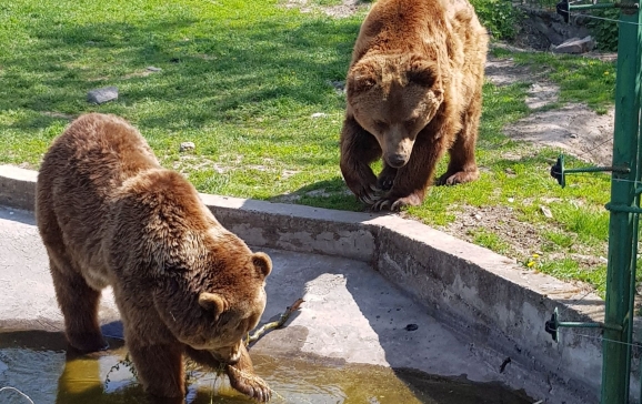 Újra fogadja látogatóit a Nagyváradi Állatkert