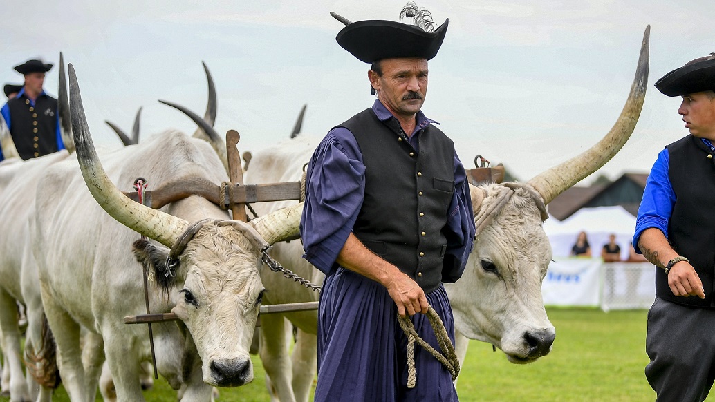 Megnyílt a 29. Farmer Expo