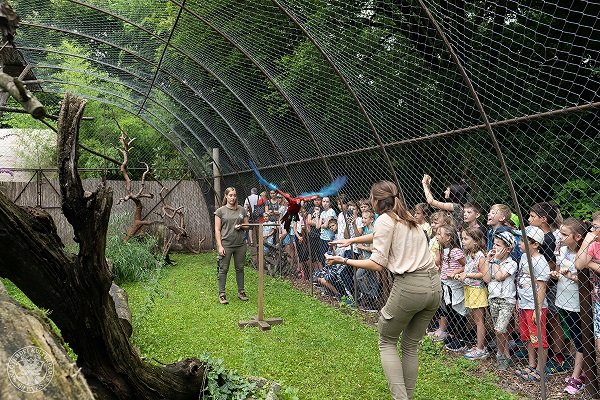 Rendkívüli évet zárt a Kultúrpark