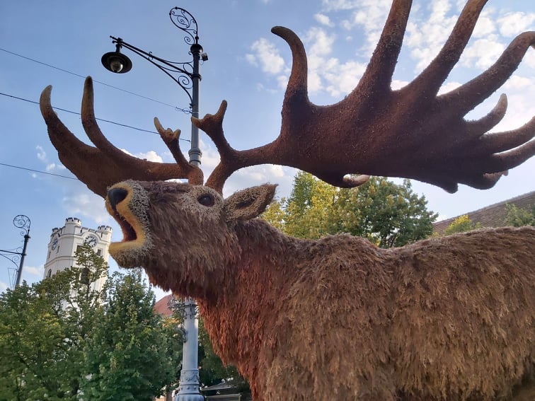Utolsó nap is tömegeket vonzott a virágkocsi-korzó