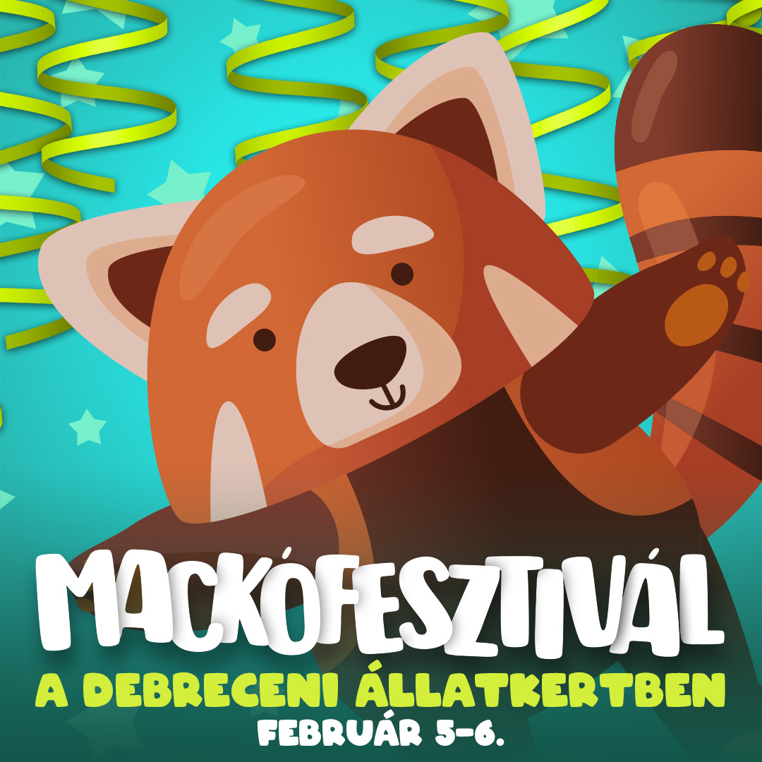 Mackófesztivál a Debreceni Állatkertben