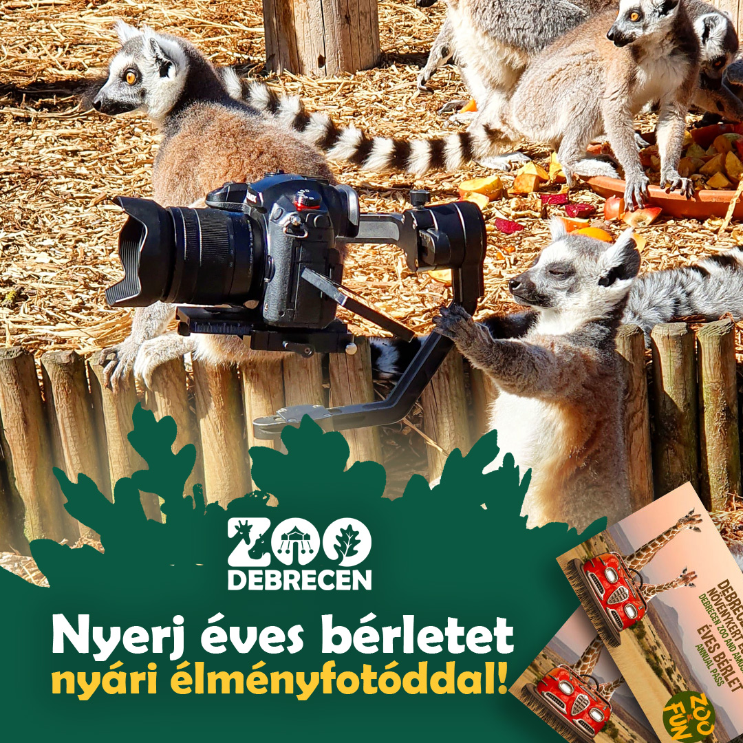 Évszakos fotópályázatot hirdet a Zoo Debrecen