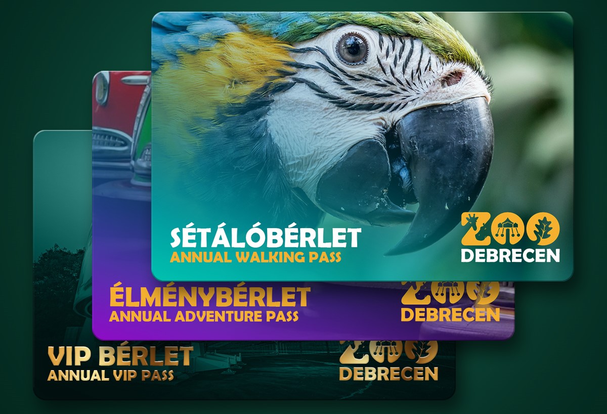 Megújul és korlátlan élményekkel bővül a Zoo Debrecen bérletkínálata